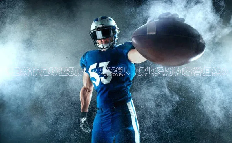 南宫28官网登录入口最新版宇信科技《王新伟足球运动员个人资料、职业经历和荣誉归纳》