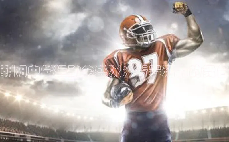 NG.28.66百度集团朝阳中学运动会盛况：青春活力的舞台