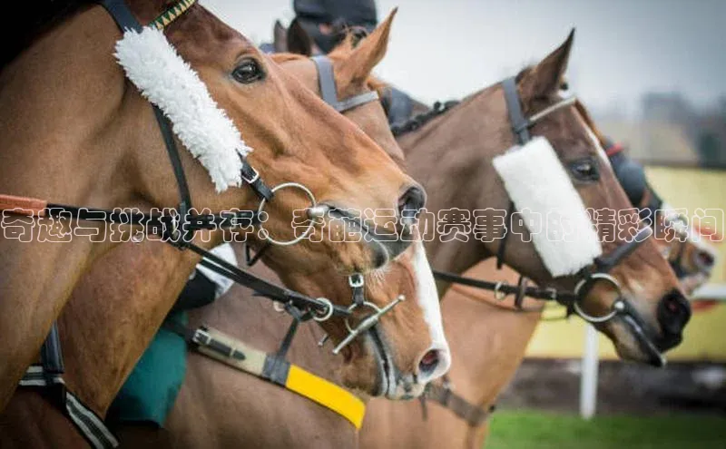 奇趣与挑战并存：奇葩运动赛事中的精彩瞬间