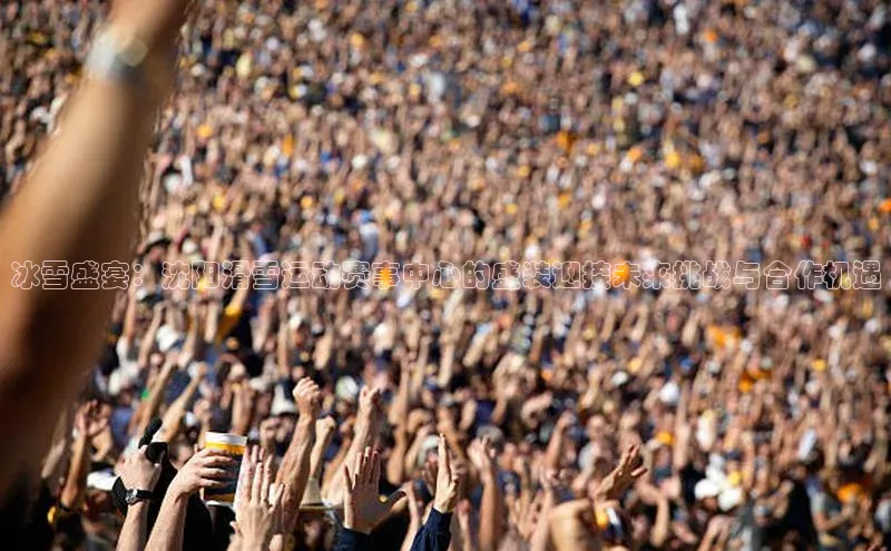 冰雪盛宴：沈阳滑雪运动赛事中心的盛装迎接未来挑战与合作机遇