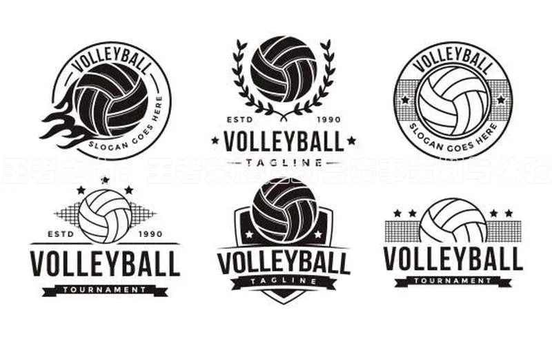 王者之力：王者荣耀运动会赛事策划与体验