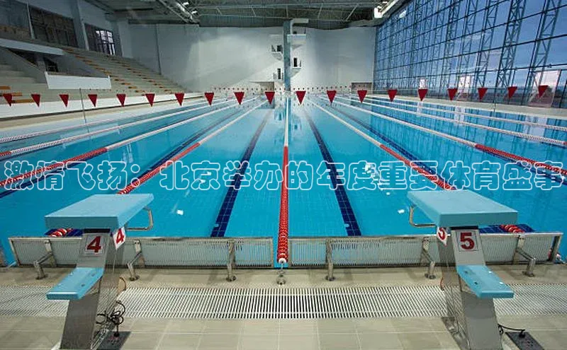 激情飞扬：北京举办的年度重要体育盛事