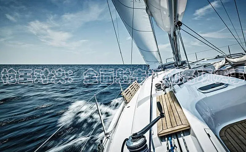 枪王对决：全面射击运动各项赛事