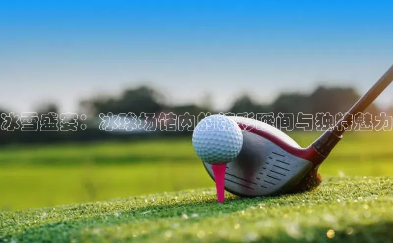 冰雪盛宴：冰球场馆内的精彩瞬间与独特魅力