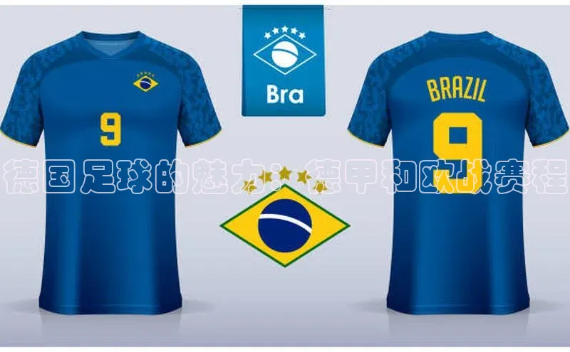 德国足球的魅力：德甲和欧战赛程