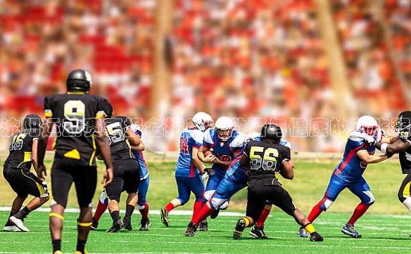 沈阳运动赛事报名指南：激情与健康的新旅程