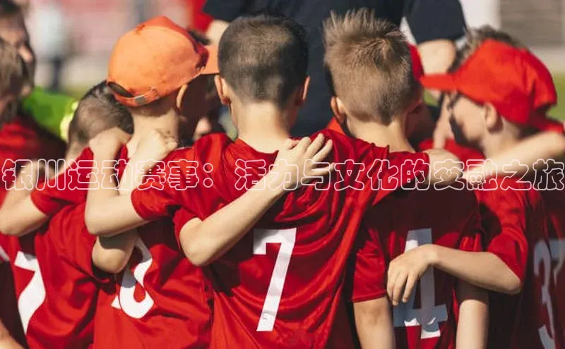 ng28相信品牌的力量登录入口