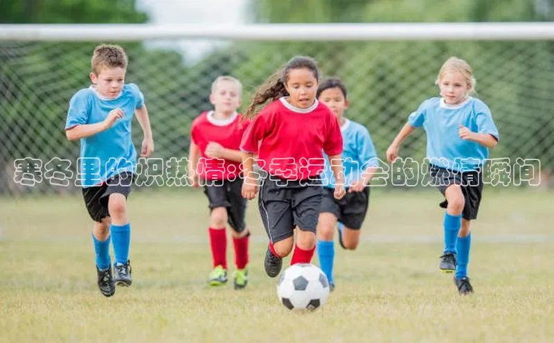 寒冬里的炽热情:冬季运动会的燃情瞬间