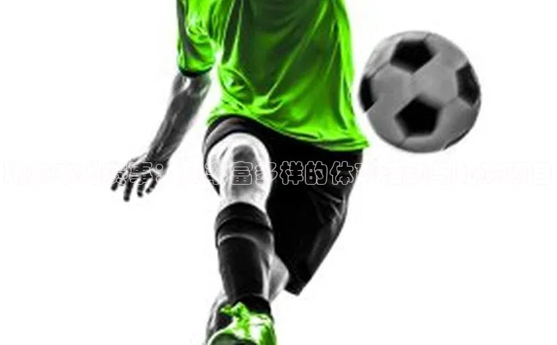 聊城本地赛事：其丰富多样的体育活动与比赛项目