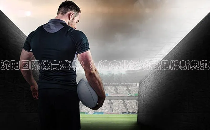 沈阳国际体育盛事：打造东北运动会品牌新典范